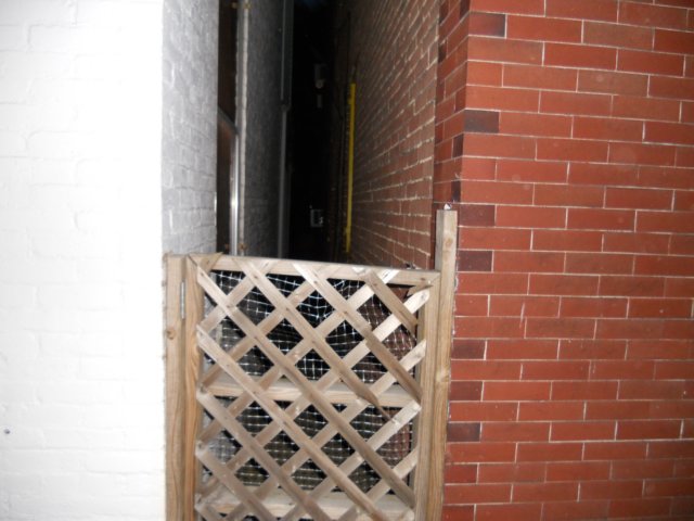 timshotpicsinalldirectionsincasesomethingshowedupthereappearstobeanorbinthecenterofthealley.jpg