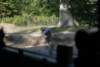 Photo Number 8