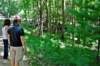 weventuredintothewoodsneargatlinburgandmetthiscritter_small.jpg